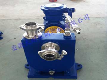 ZXP stainless steel self suction pump - day pump valve