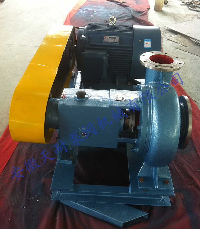 Stainless steel potato feed pump