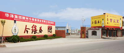 Spring wine industry in Shandong wawze group