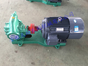 Circular arc gear oil pump